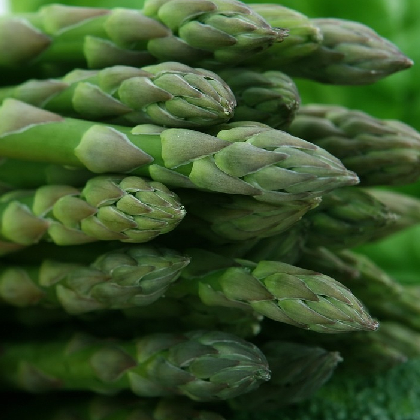 Groene asperge